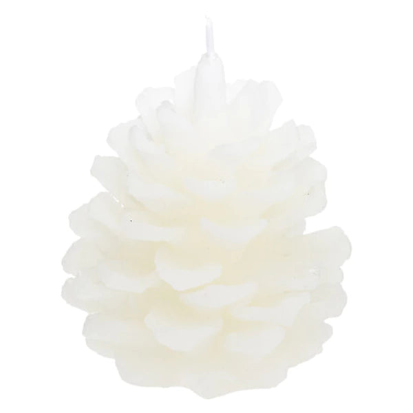 Complete Geurenset Wild & Naturel – Kaars, Diffuser en Houten Schaal